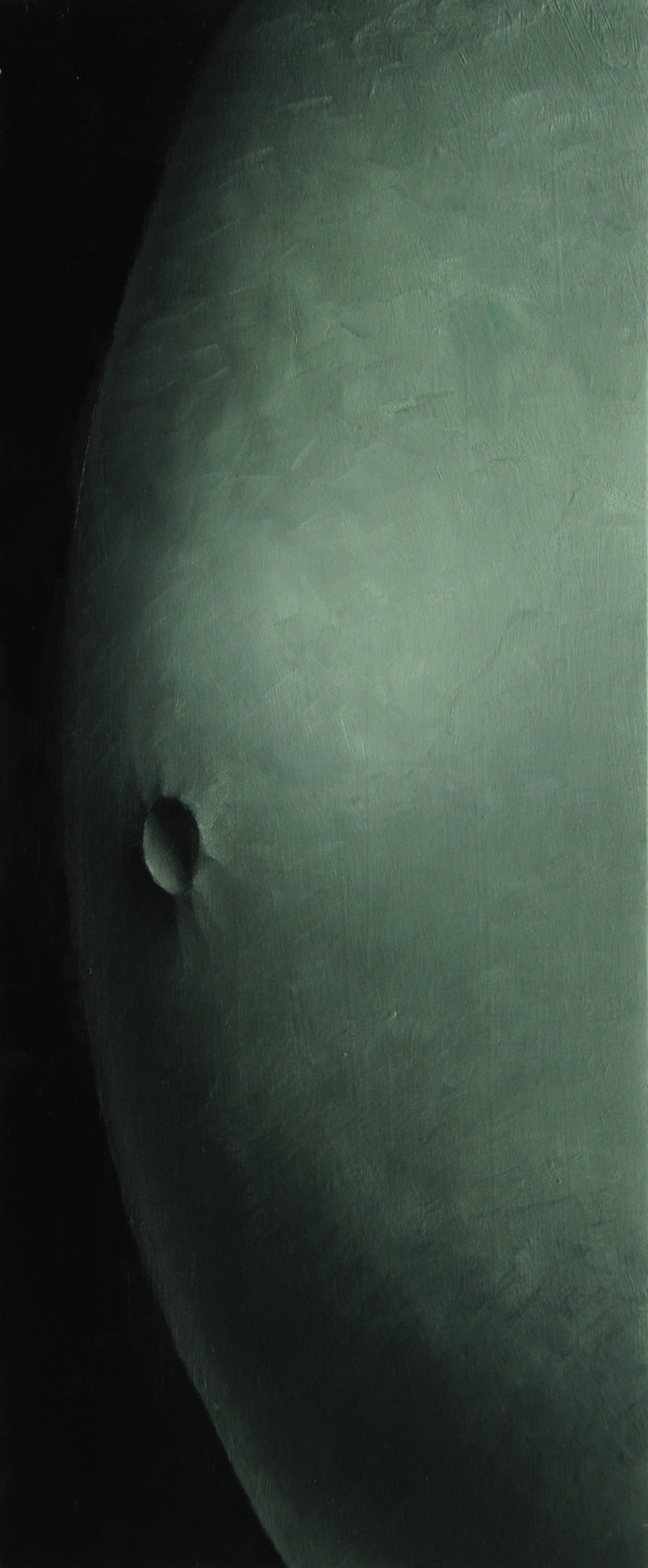 Fremder Planet_50x21cm_2019_Ol auf Holz